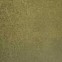 Furor, Bicolor moss