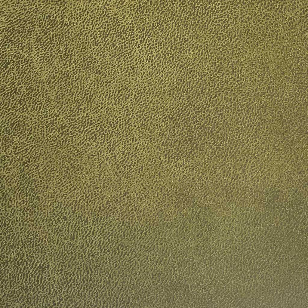 Furor, Bicolor moss