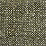 Furor, Bicolor moss