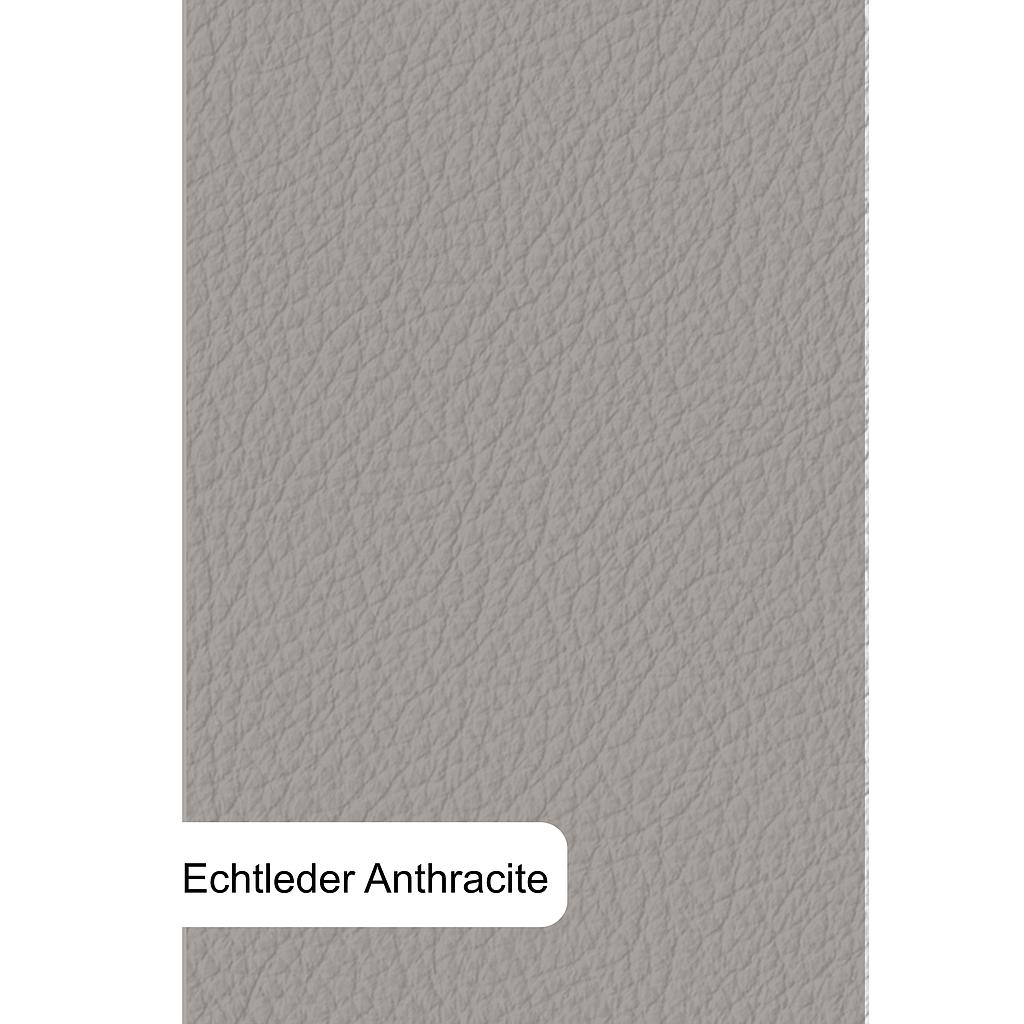 Lazy-Set High, Leder