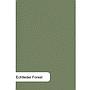 Med/Leder Iron N.03-a