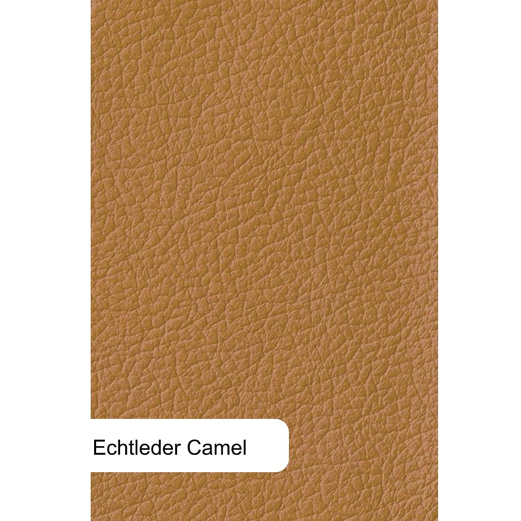 Bari-AL, Leder cognac