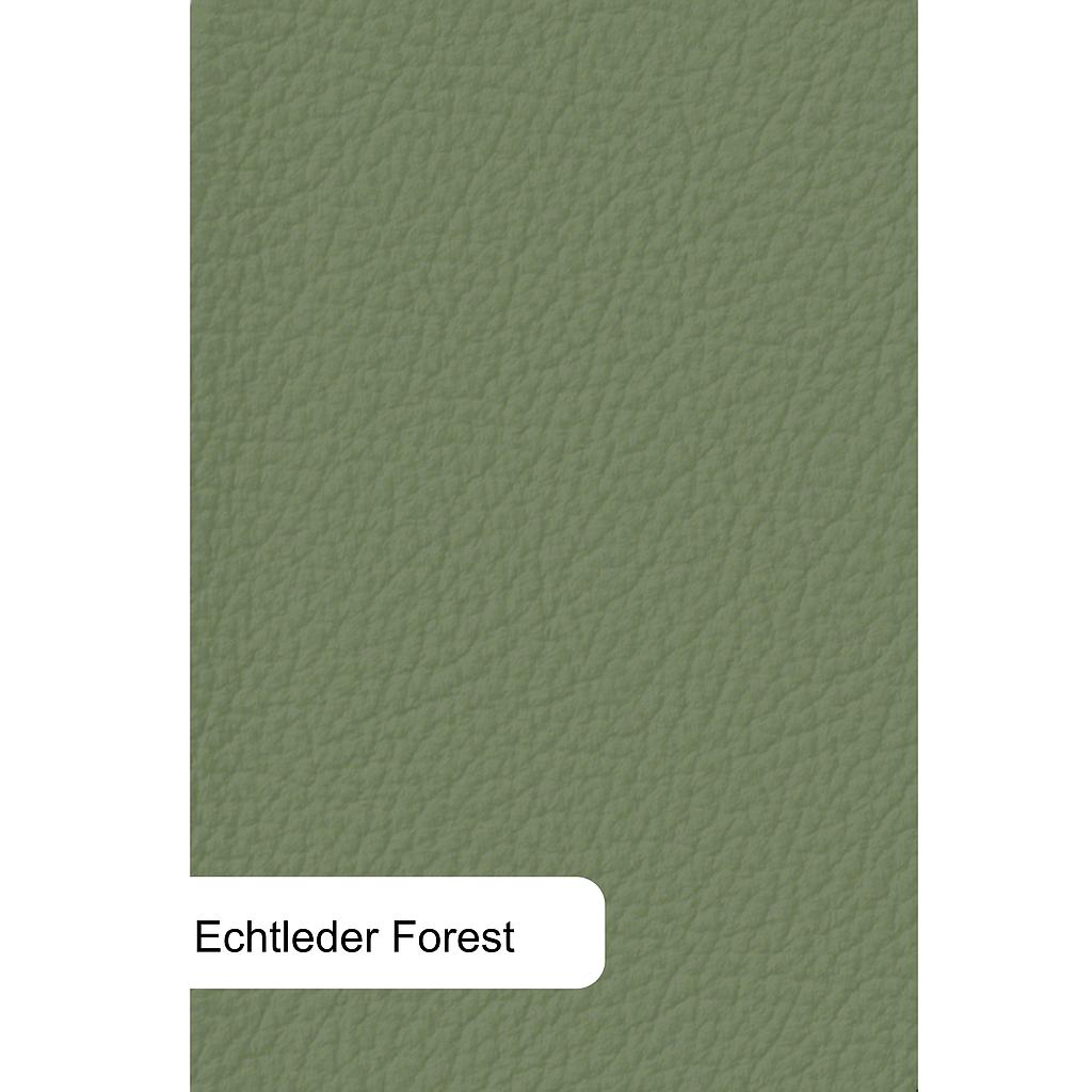 Prestige-2, Leder