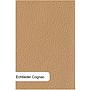 Prestige-3, Leder