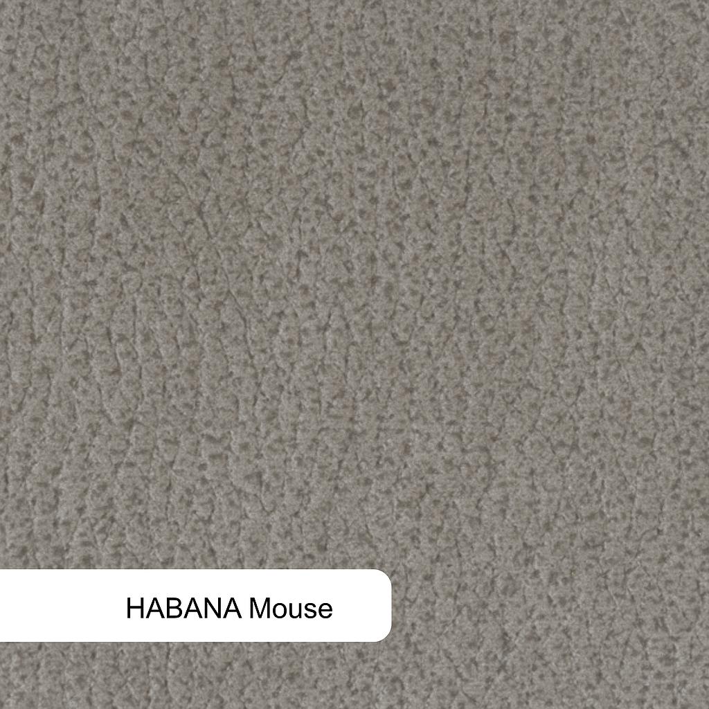 Phoenix, 2 Motoren +Lift/ VORZUGSTOFF Hab. taupe