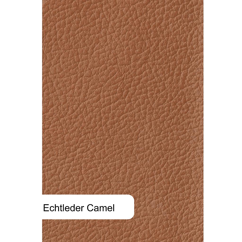 Rondo S1, Cream