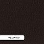 Club+FH black