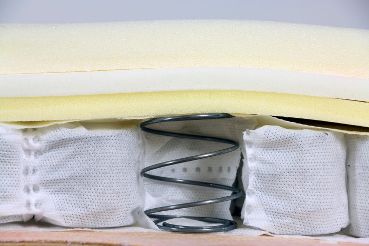 Alec grey, Echt Federkern