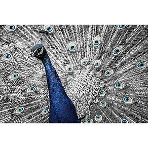 GlasArt 120x80cm G.25