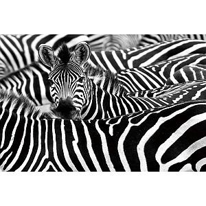 GlasArt 120x80cm G.34