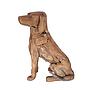 Fat dog Wurzelholz