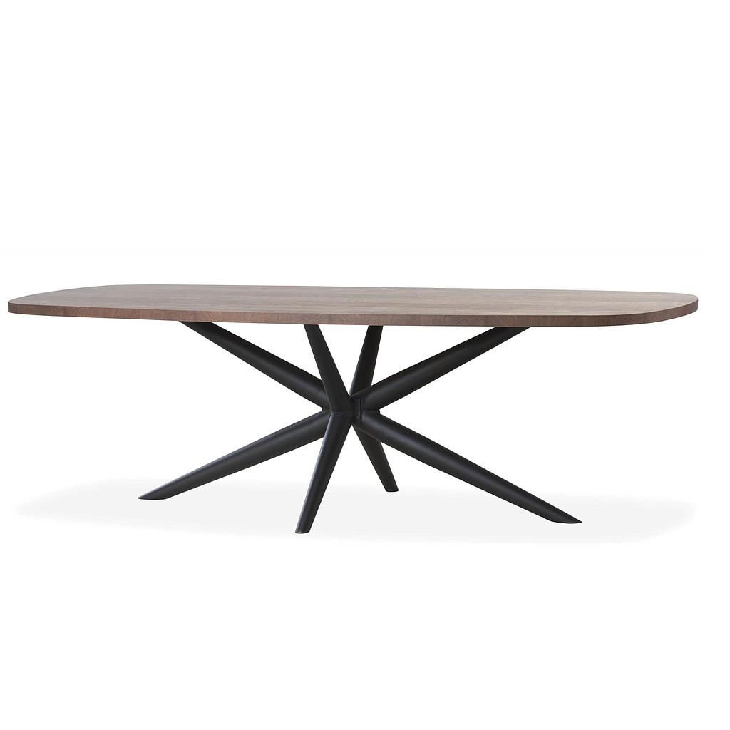 Esstisch 220x100cm, MX Status