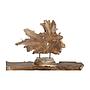 Tree Star, Sculptur 40cm Wurzelholz