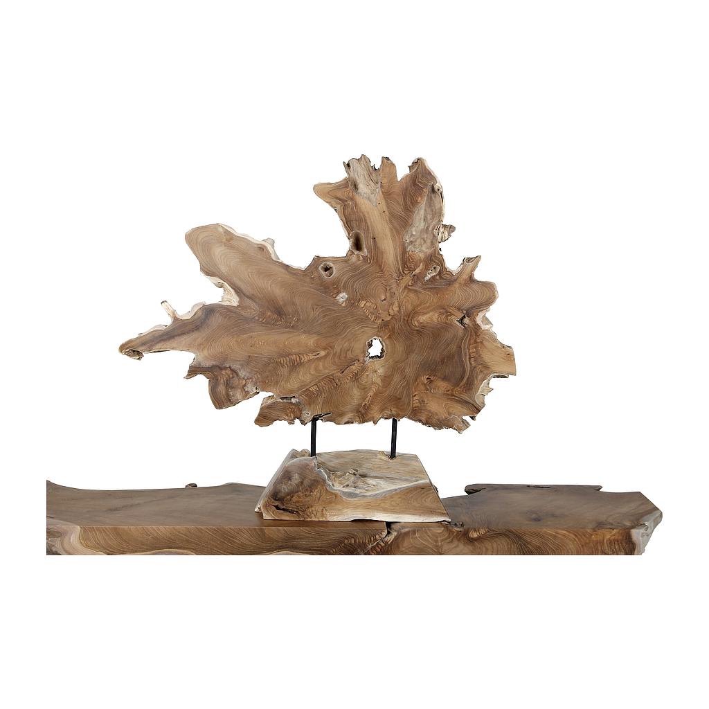 Sculptur 40 Star Root