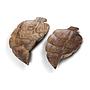 Leaf-Schale Teak