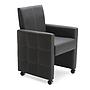 Prestige-3, Leder