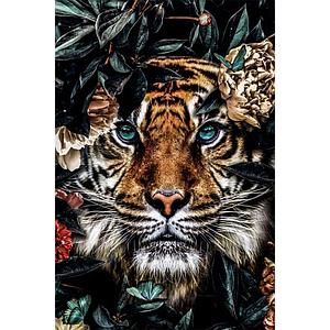 GlasArt 80x120cm G.64