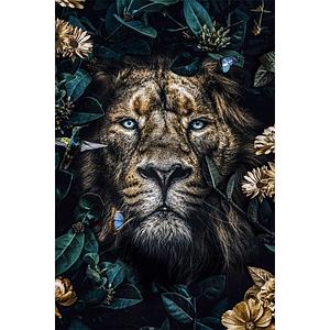 GlasArt 80x120cm G.65