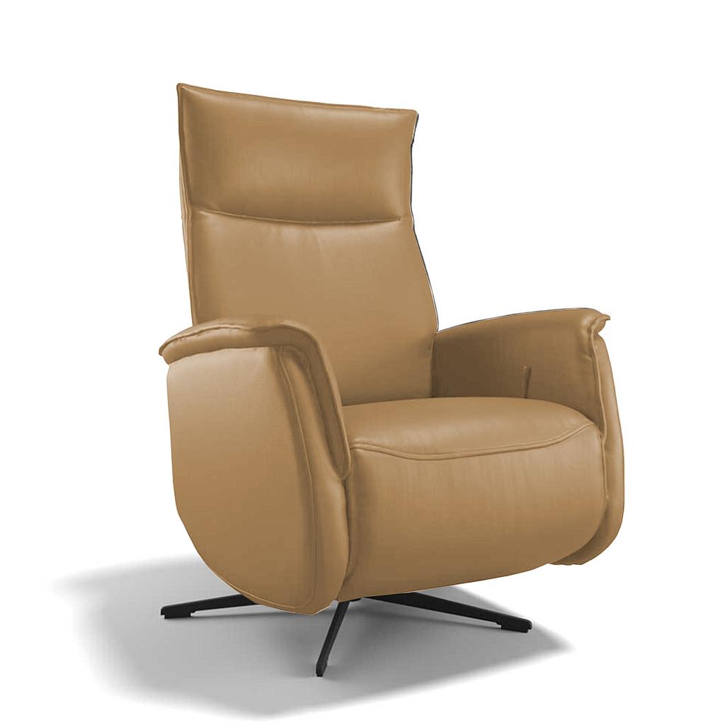 Janus, 2 Motoren/ Vorzugstoff Bud. camel
