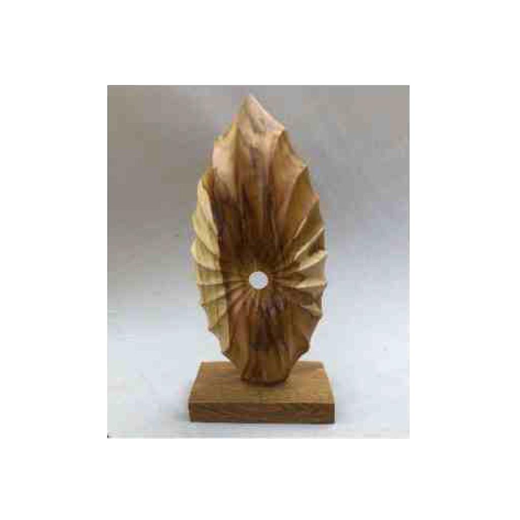 Sculpture 50 Shell Root