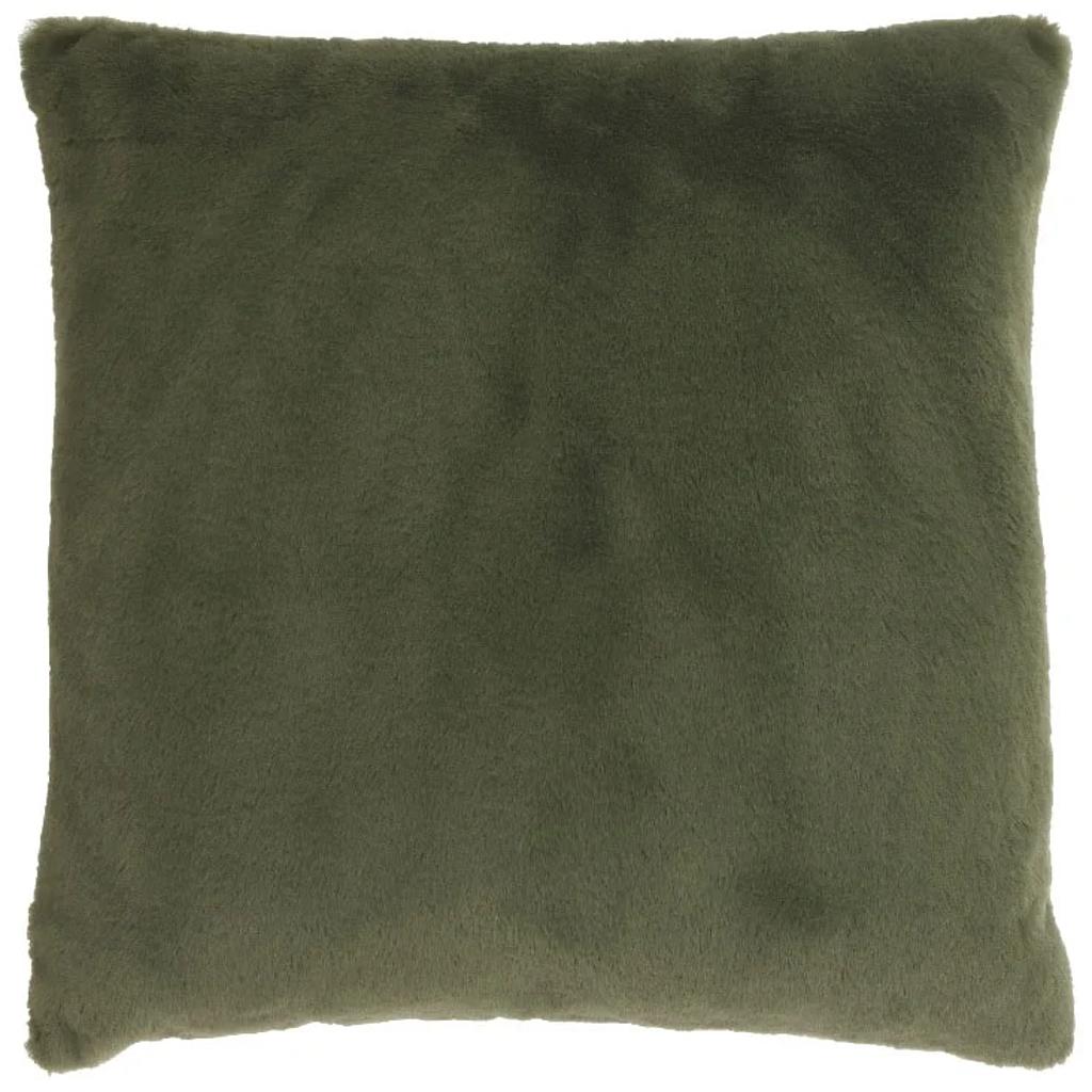 Klaas, winter green