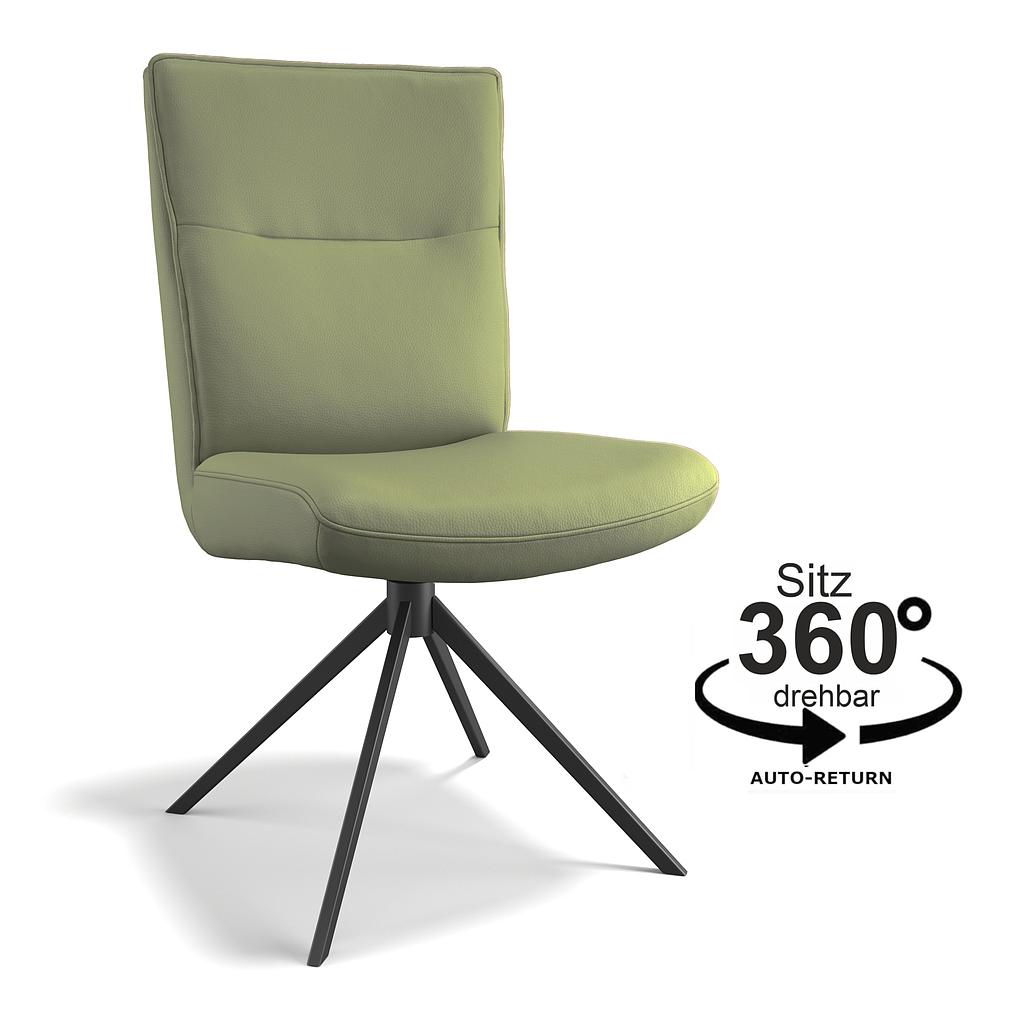 Balance moss, Rückenverstellung