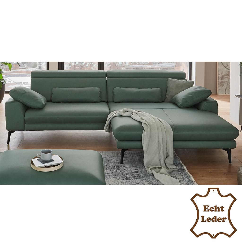 MDS Leder Darwin LE-1 